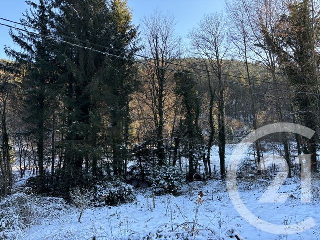 maison à vendre - 4 pièces - 72.0 m2 - BOERSCH - 67 - ALSACE - Century 21 Kayser Immobilier