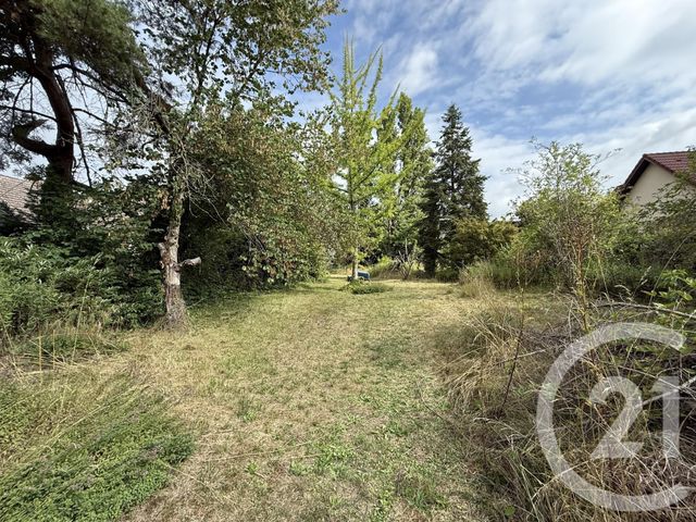 terrain à vendre - 1446.0 m2 - OSTWALD - 67 - ALSACE - Century 21 Kayser Immobilier