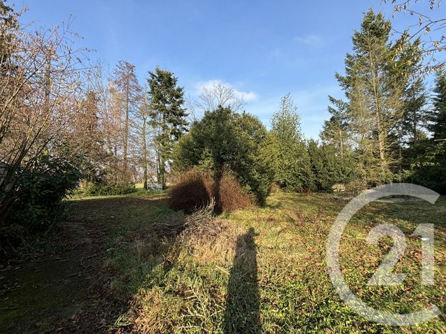 terrain - ALTORF - 67