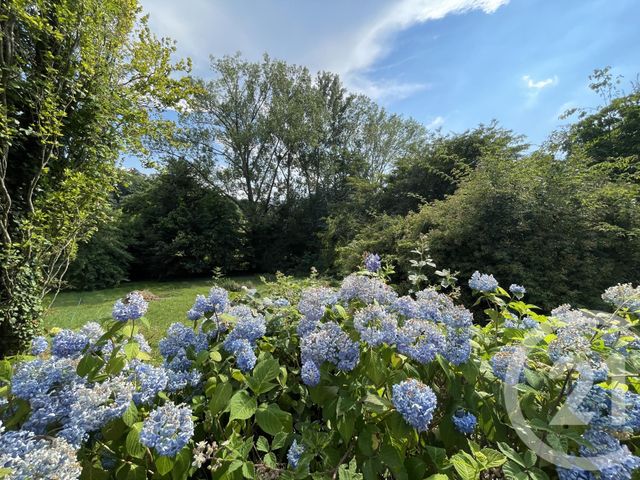 terrain à vendre - 1900.0 m2 - ROSHEIM - 67 - ALSACE - Century 21 Kayser Immobilier